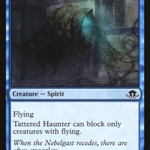 Tattered Haunter