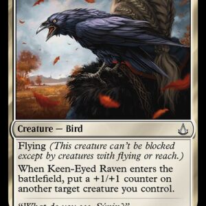 Keen-Eyed Raven