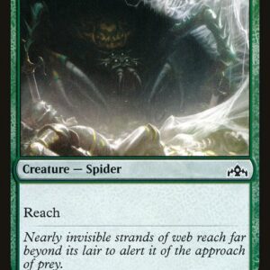 Hitchclaw Recluse