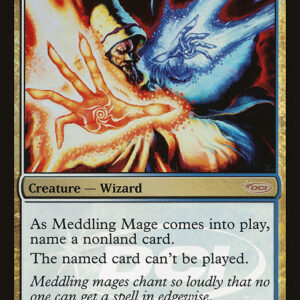 Meddling Mage