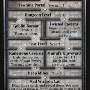 Dungeon of the Mad Mage