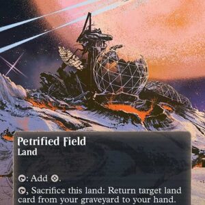 Petrified Field