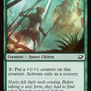Intrepid Tenderfoot