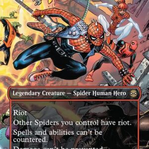 Spider-Punk