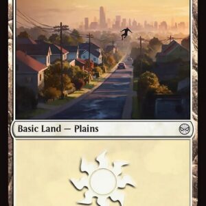 Plains