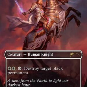 Northern Paladin