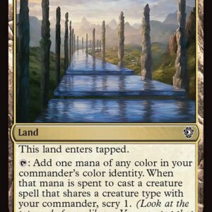 Path of Ancestry