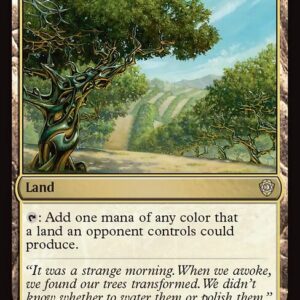 Exotic Orchard