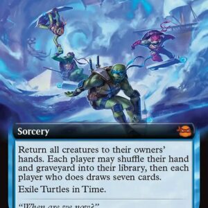 Turtles in Time