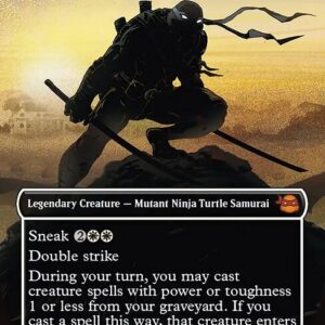 Leonardo, Sewer Samurai