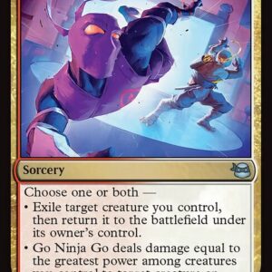 Go Ninja Go