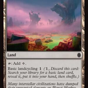 Ash Barrens