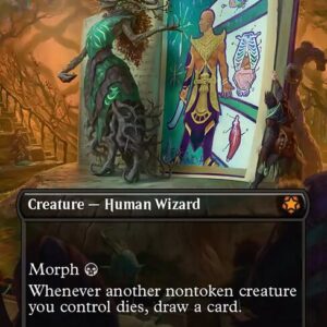 Grim Haruspex