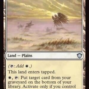 Mistveil Plains